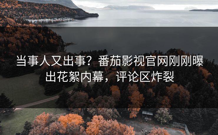 当事人又出事？番茄影视官网刚刚曝出花絮内幕，评论区炸裂