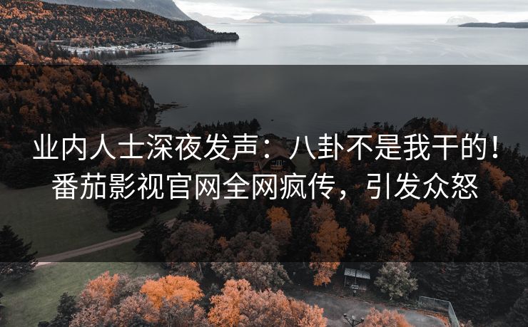 业内人士深夜发声：八卦不是我干的！番茄影视官网全网疯传，引发众怒