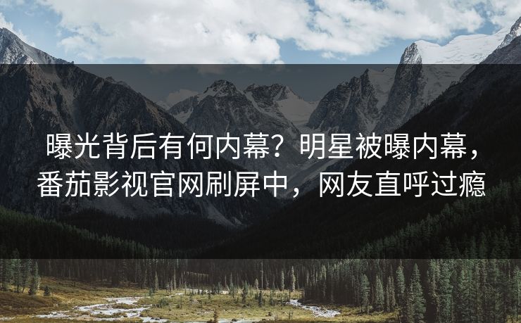 曝光背后有何内幕？明星被曝内幕，番茄影视官网刷屏中，网友直呼过瘾