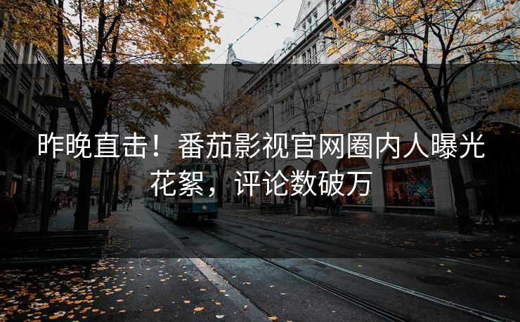 昨晚直击！番茄影视官网圈内人曝光花絮，评论数破万