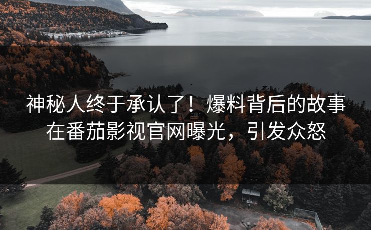 神秘人终于承认了！爆料背后的故事在番茄影视官网曝光，引发众怒