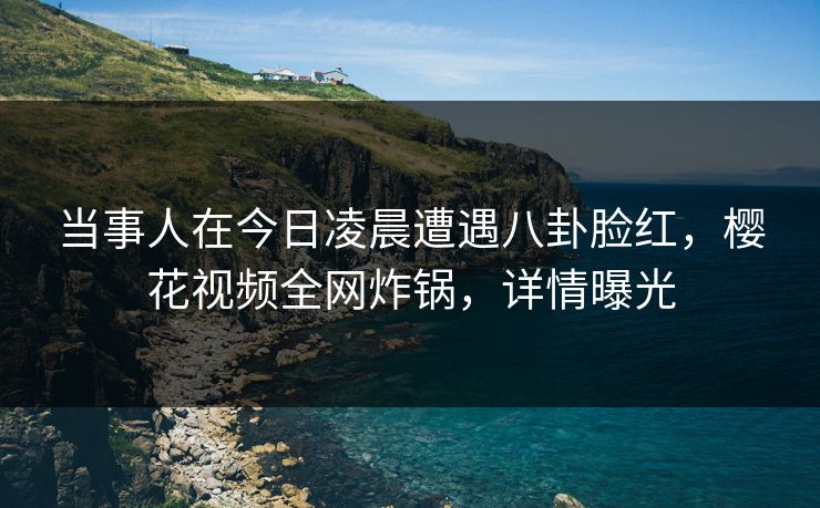 当事人在今日凌晨遭遇八卦脸红，樱花视频全网炸锅，详情曝光