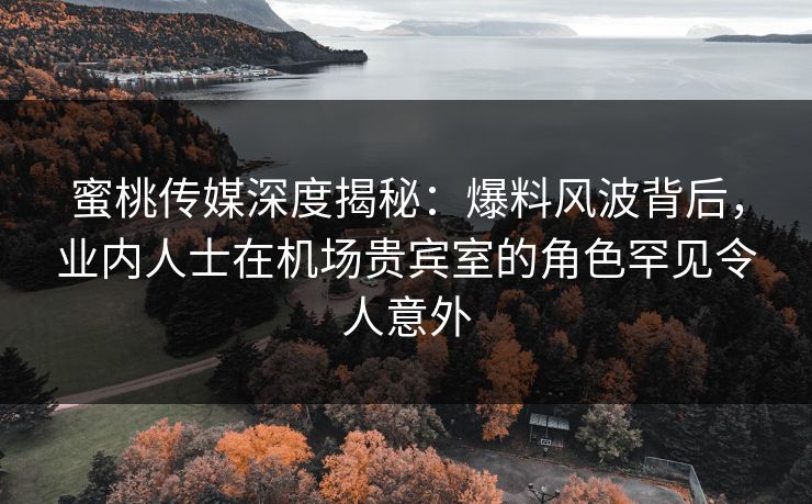 蜜桃传媒深度揭秘：爆料风波背后，业内人士在机场贵宾室的角色罕见令人意外